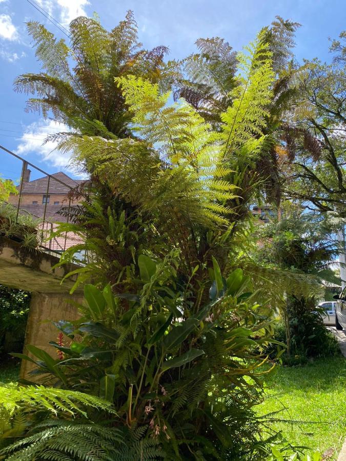 Villa Casa Da Vo Diva No Centro De Gramado Extérieur photo