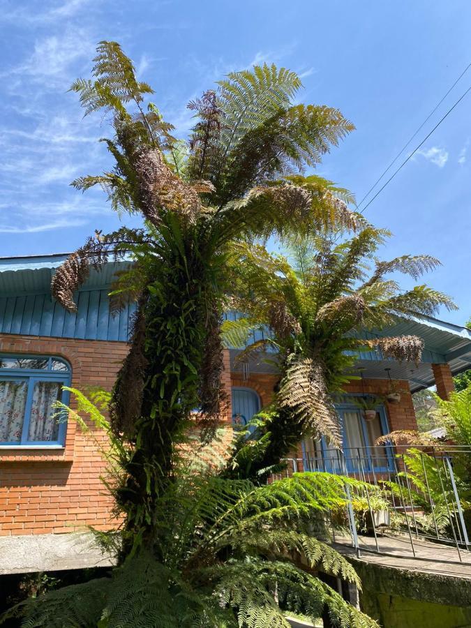 Villa Casa Da Vo Diva No Centro De Gramado Extérieur photo